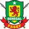塞内加尔国家队队徽